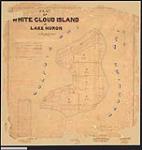 Plan of White Cloud Island in Lake Huron. / H.J. Browne, P.L.S 1887.