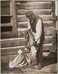 [Cayuga Chief David Jack stretching a deerskin] 1915