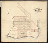 Plan of the Town of Selkirk [Winnipeg]. Manitoba. Surveyed by A.H. Vaughan, D.S. 1872. [cartographic material] 1872