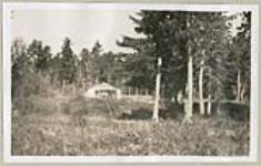 [View of a lone house surrounded by trees] 1919