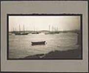 Fishing schooners at Quirpon 1928.
