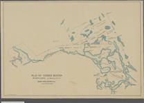 Plan of Timber Berths No. XXVI & XXVII on Manitou River, Rainy River District, Ont. J.F. Whitson, P.L. Surveyors, May 5th 1890. [cartographic material] 1890