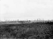 Observatory Ridge from Maple Copse  July, 1916