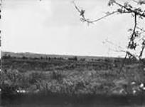 Distant view of St. Eloi Ridge and Craters. July, 1916. July, 1916