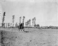 Field Sports (Corps Cavalry Regiment). Slicing the Lemon. August, 1916. Aug., 1916