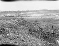 German wire, looking towards Mametz, France. July, 1916. July, 1916