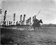 Field Sports (Corps Cavalry Regiment). Tent Pegging. Lieut. Robinson. August, 1916. Aug., 1916