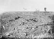 « No Man's Land » devant les lignes canadiennes octobre 1916.