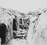 A trench on the Canadian front showing "funk holes". 1917