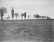 Canadians advancing on the Arras front. Advance East of Arras. September, 1918  September, 1918.