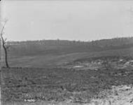 Amiens Front - German Artillery position had been amongst these trees, Aubercourt. Apr. & May 1919