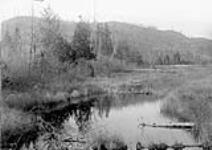 Mud Lake, Lake Riopelle. July, 1910.