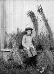 Luella Peabody with grass seed - Peabody Bros. farm. 1912.