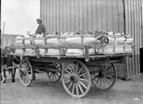 Drawing celery to station for shipment. 1913.