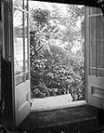 Looking into Conservatory, Rideau Hall. ca. 1880