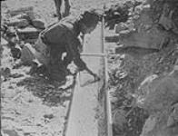 W.A. Beamish hopefully examines blanket - clean up, Stout's gulch near Barkerville, B.C 1938