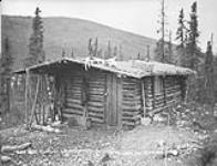 Klondike. Lower Dominion Ck. Deserted cabin abt. 11 or 15 Below. Lower. ca. May/June 1903