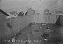 Dog Pound. Mar. 1901