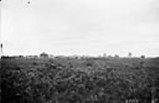 General view, Vegreville, Alta 1923