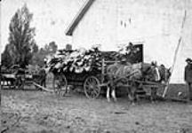 Wagon Load of Leather, Magnetawan Tannery, Burk's Falls, Ont.