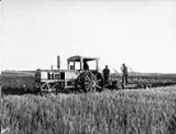 Ploughing on William Hamilton's Farm, near Hamiota, Man. 1905-1909
