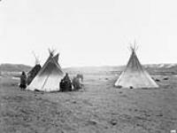 [Kainai Nation family tents located in the valley of the St. Mary River]  [graphic material] ca. 1897-1898.