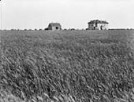 House, barn, wheat fields, Wm. Douglas, Indian Head  n.d.