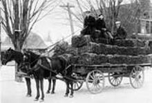 A $900 load of Burley Tobacco, Leamington, Ont., 1923. 1923 - 1924