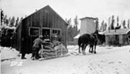 (Relief Projects - No. 51). Getting in the winter supply of provisions at Camp No. 5. Oct. 1933