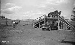 (Relief Projects - No. 58). Loading trap under construction. Aug. 1935