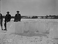 (Relief Projects - No. 103). Cutting ice on the lake near Camp 1. Feb. 1935