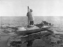 [An Alaskan Eskimo] of Nunivak [Island] with a kayak ready for sealing. 1930