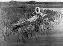 [An Alaskan Eskimo] muskrat hunter of Kotzebue. 1930
