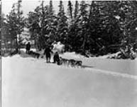 Dog teams in Gogama section of Northern Ontario, [1920's].