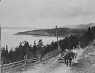 Ox cart, along the Gaspé coast, St. George's Cove, Quebec, c. 1928.