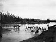 Brazeau River, Alta 1909