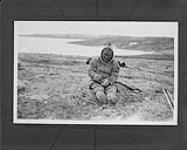 Eskimo mending his bow, North West Territories.