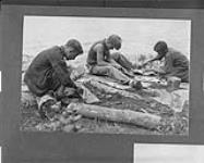 Cleaning fish for dinner [Wigwasati Camp], Lake Timagami, Ont.