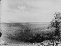 Assiniboine Valley near Virden, Man 1890