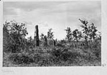 Ruins of Fort Selkirk, Y.T Aug. 17, 1887