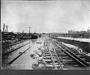 [Toronto, Ont.] The Don [River] south of Gerrard St. looking north Feb. 28, 1902