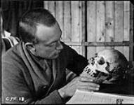 (Hudson Strait Expedition). Dr. W.J.K. Clothier examining skull at Base 'C' 1928