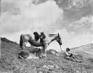 Resting on Simpson Summit, Banff National Park, [Alta.], July 17, 1936