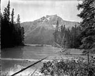 Junction of the Alexandra and North Saskatchewan rivers, Banff National Park, [Alta.] Oct. 1927