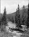 Along the south side of the Spray River [beside] Cascade Mountain Banff National Park, [Alta.] Sept. 1928