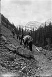 White Man Pass, Banff National Park, [B.C.] June 1926
