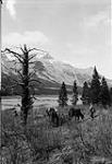 Mount Sparrowhawk, Banff National Park, Alta June 1926