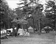 Family tenting in a national park ca.192-