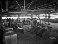 Canadian Vickers Ltd - Sheet metal shop  19 Mar. 1927