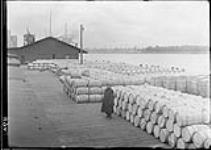 Apple shipments on the dock at Point Edward, 23 Oct., 1909. 23 Oct. 1909